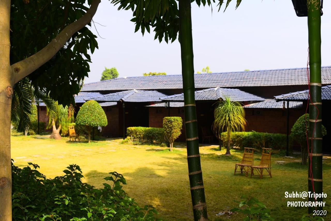 Anandvan Holiday Homes, Wai Bagian luar foto