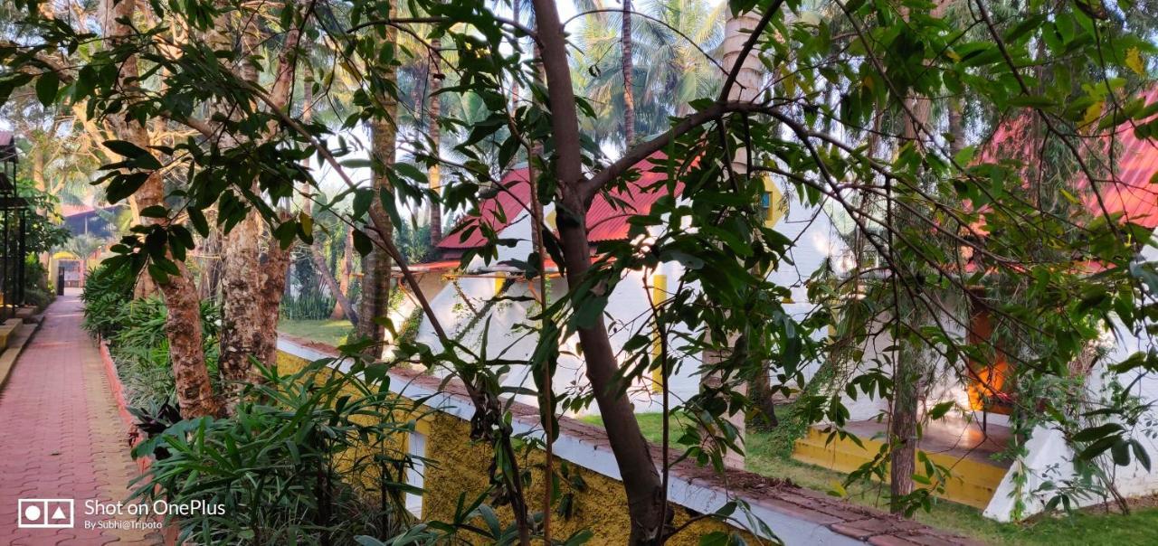 Anandvan Holiday Homes, Wai Bagian luar foto